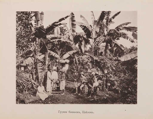 Щербатова О.А. По Индии и Цейлону: Мои путевые заметки 1890-91 гг. М.: Типо-лит. т-ва И.Н. Кушнерёв и К°, 1892. 